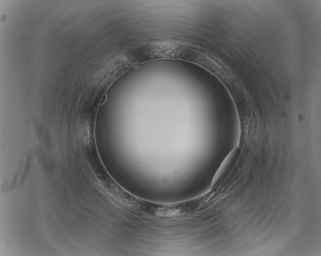 X0000069810602200605191047