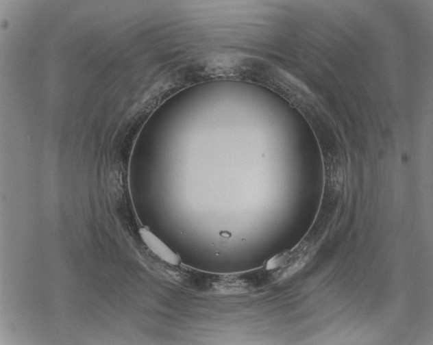 X0000069810603200605191047