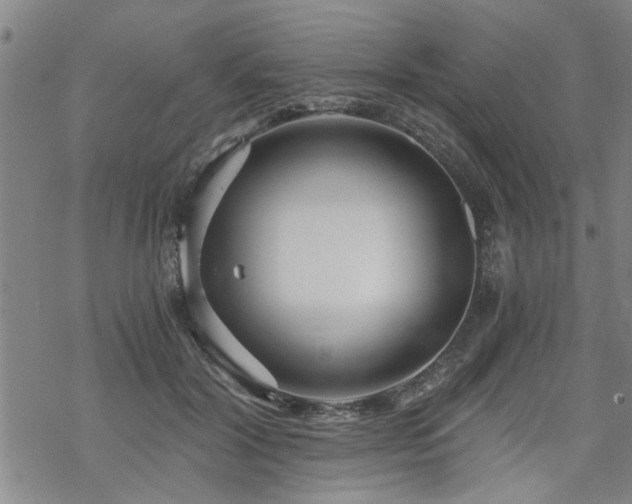 X0000069810604200605191047