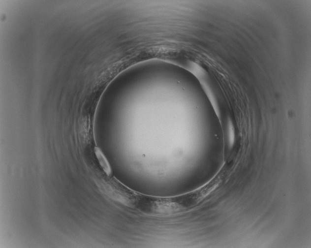 X0000069810605200605191047