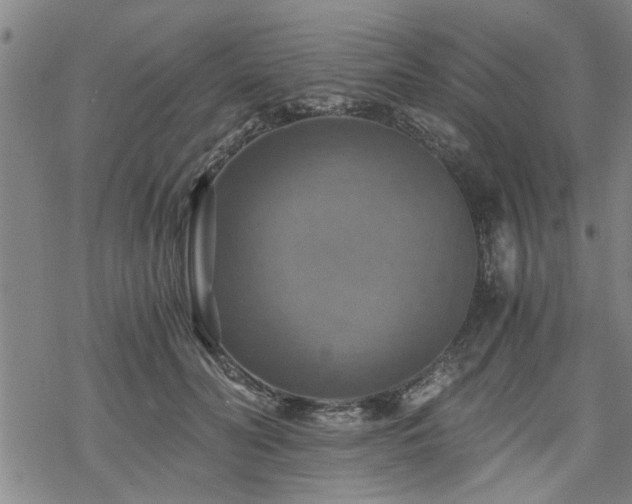 X0000069810606200605191047