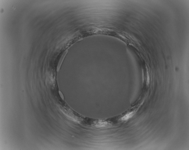 X0000069810607200605191047