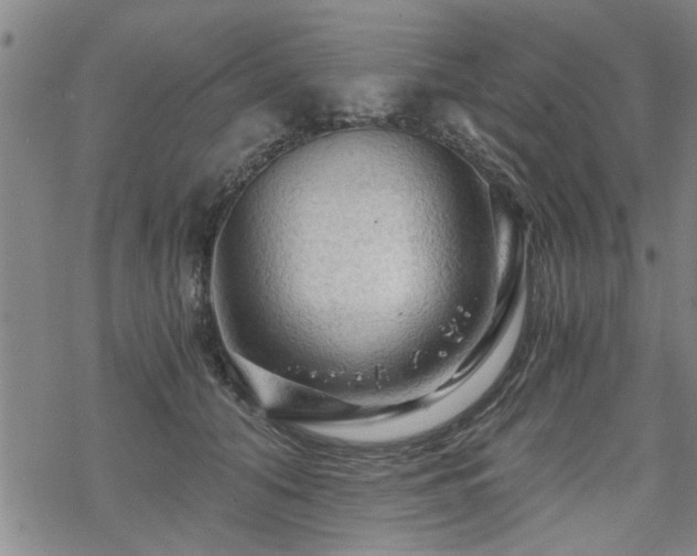 X0000069810608200605191047