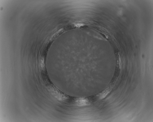 X0000069810610200605191047