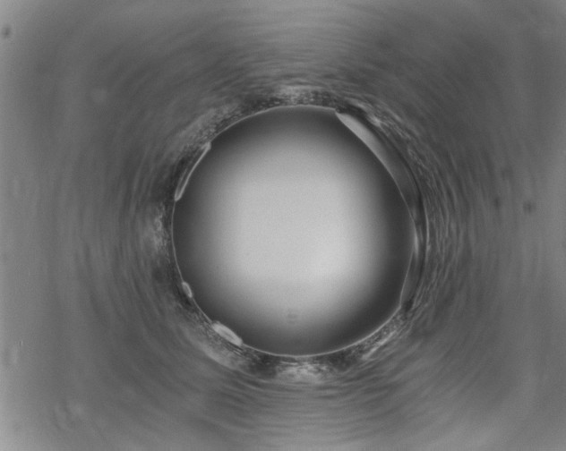 X0000069810611200605191047