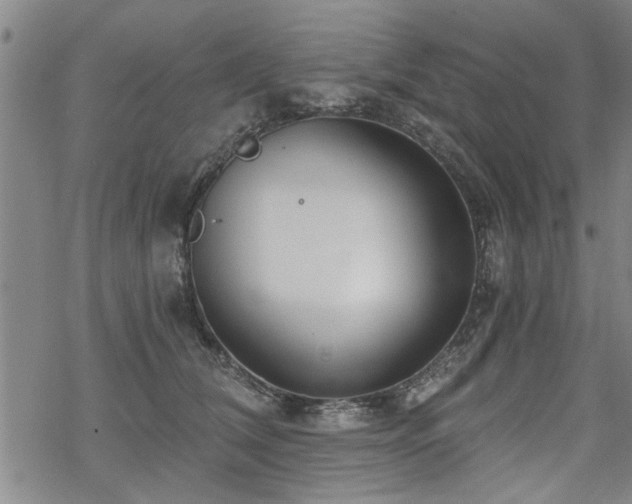 X0000069810612200605191047