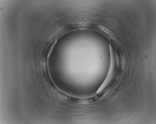 X0000069810613200605191047