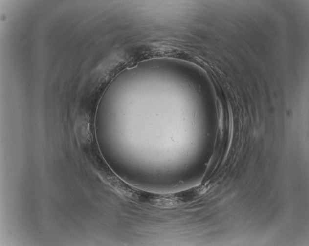 X0000069810615200605191047