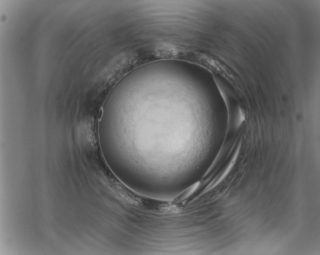 X0000069810616200605191047