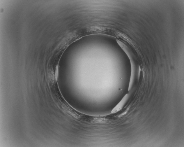 X0000069810617200605191047