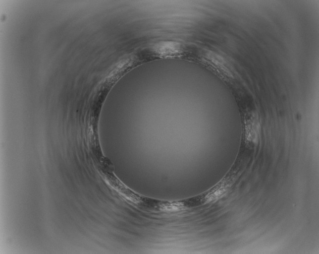 X0000069810618200605191047