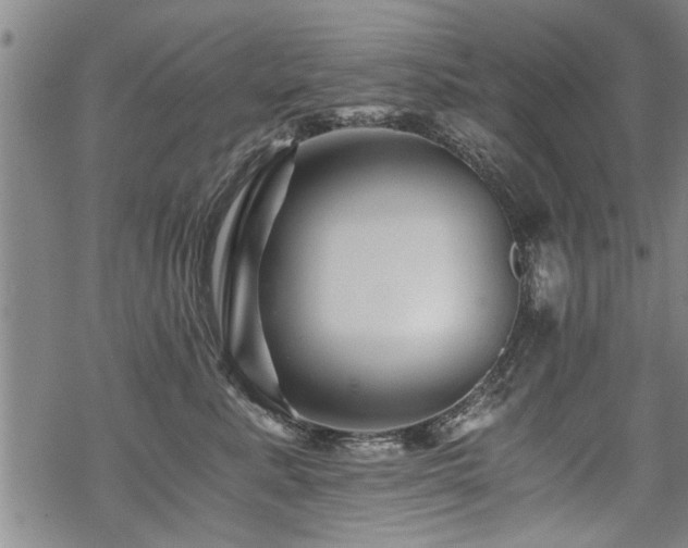 X0000069810619200605191047