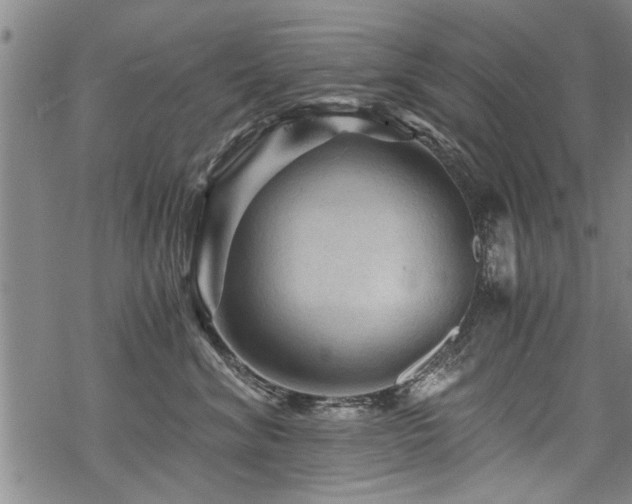 X0000069810620200605191047