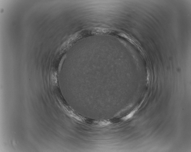 X0000069810621200605191047