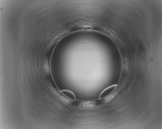 X0000069810622200605191047