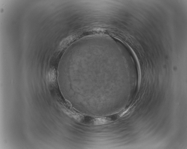 X0000069810623200605191047