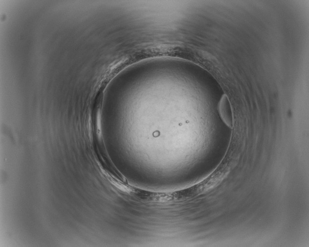 X0000069810624200605191047