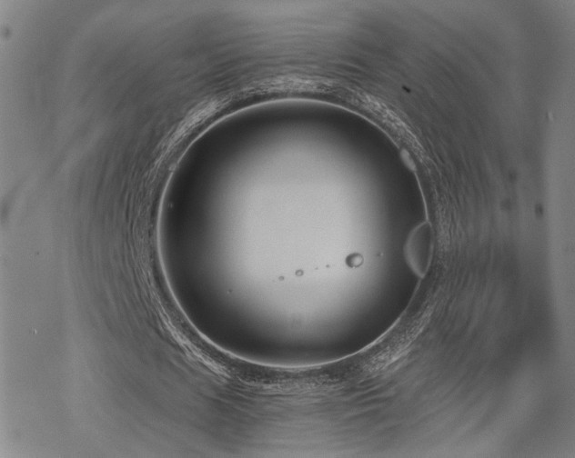 X0000069810625200605191046