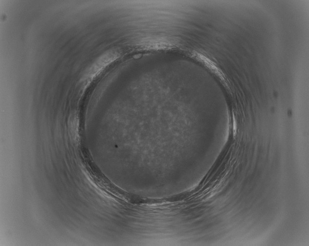 X0000069810627200605191046