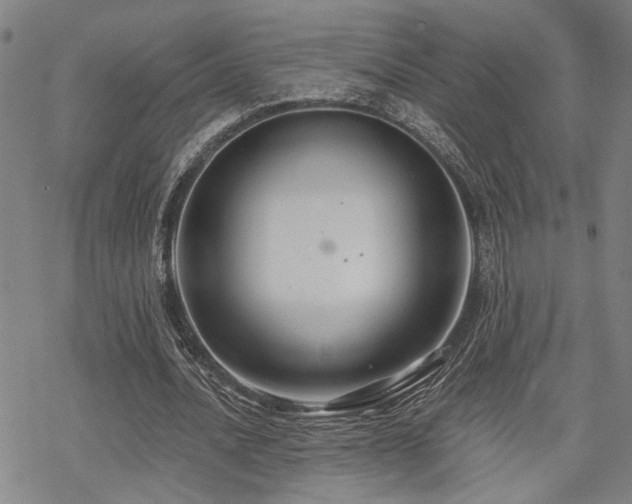 X0000069810628200605191046