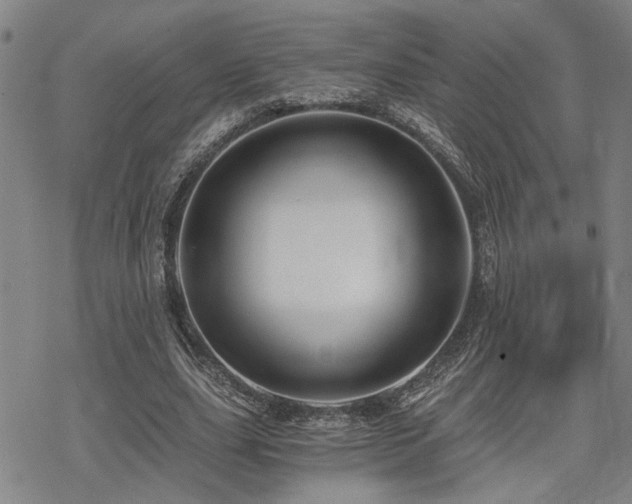 X0000069810631200605191046