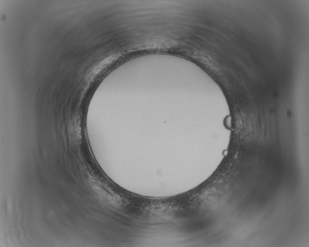 X0000069810632200605191046