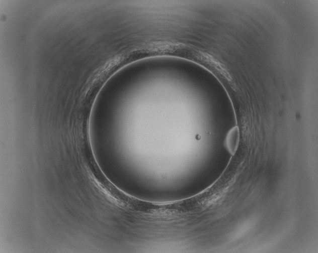 X0000069810633200605191046