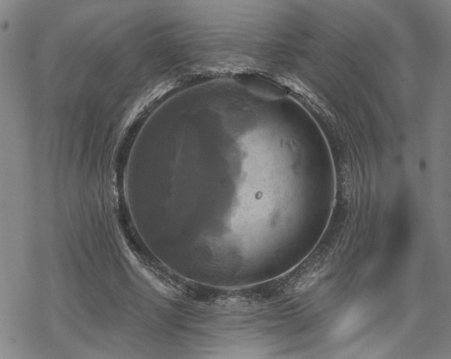 X0000069810634200605191046