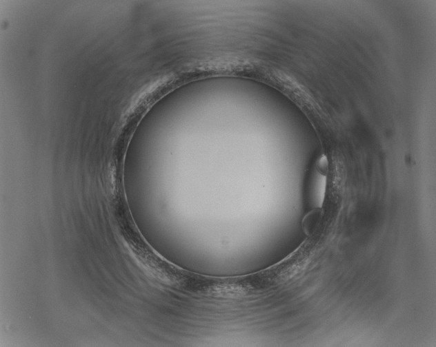 X0000069810636200605191046