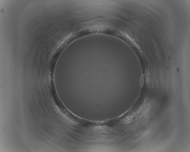 X0000069810637200605191046