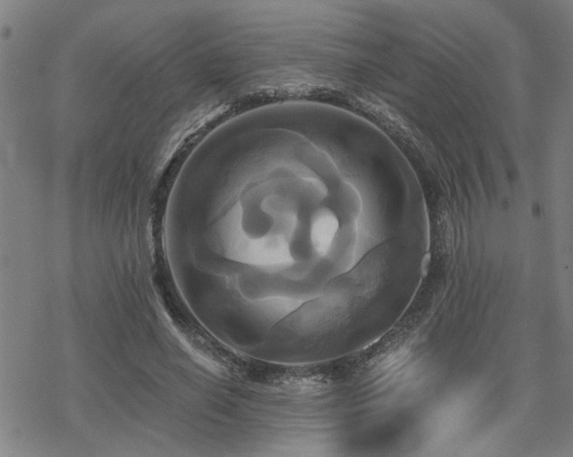 X0000069810638200605191046