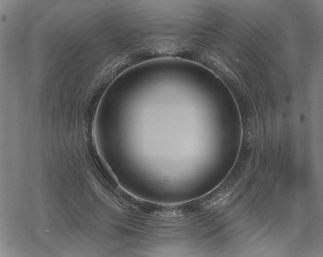 X0000069810639200605191046