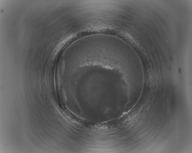 X0000069810640200605191046