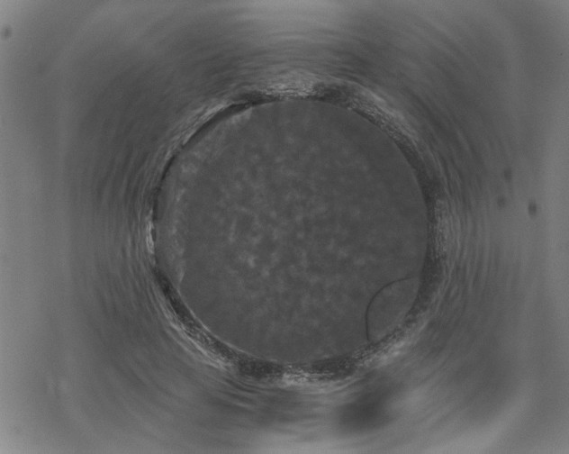 X0000069810641200605191046