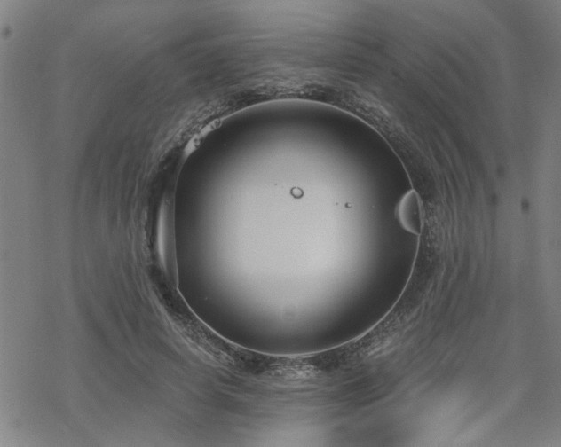 X0000069810642200605191046