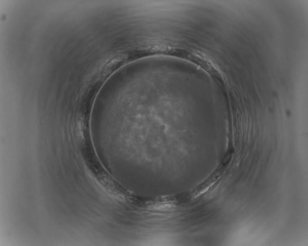 X0000069810643200605191046