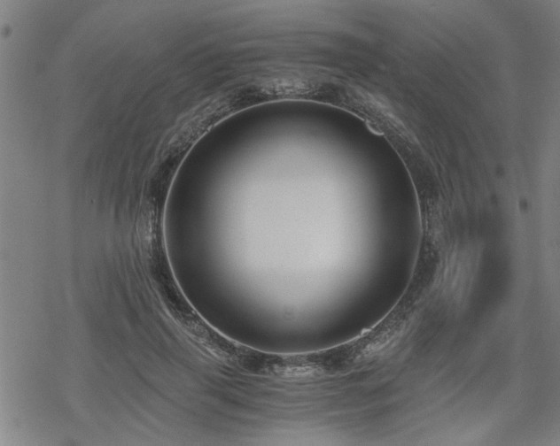 X0000069810645200605191047