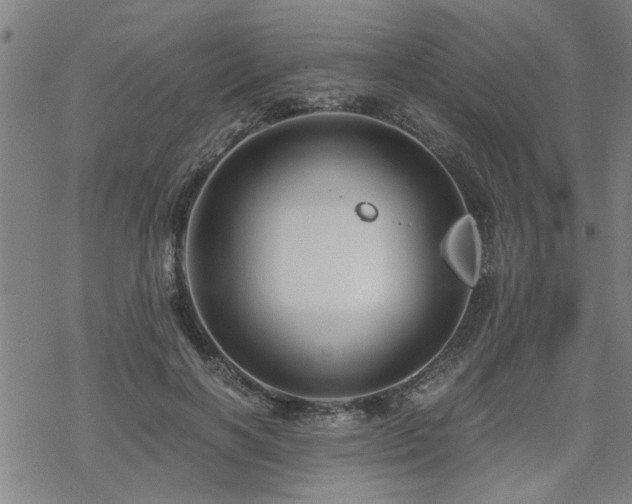 X0000069810646200605191047