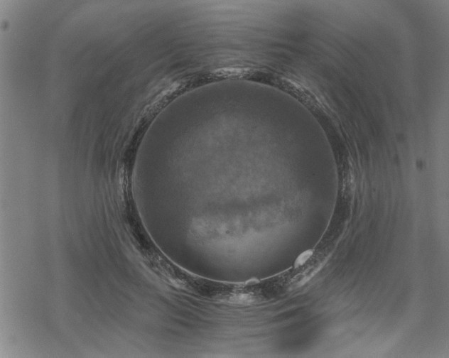 X0000069810647200605191047