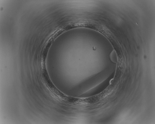 X0000069810648200605191047