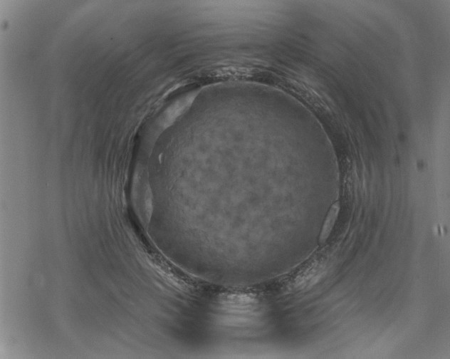 X0000069810649200605191047