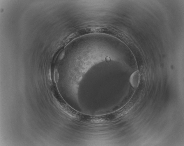 X0000069810650200605191047