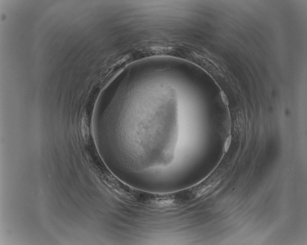 X0000069810651200605191047