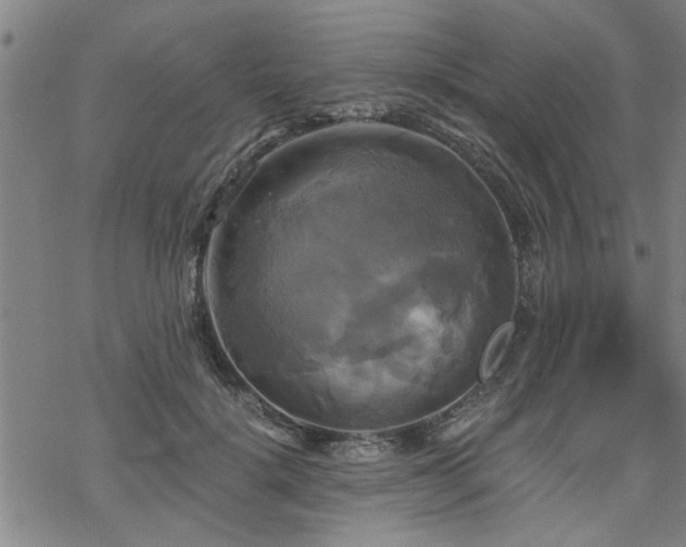 X0000069810652200605191047