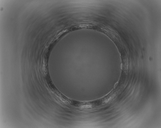 X0000069810653200605191047