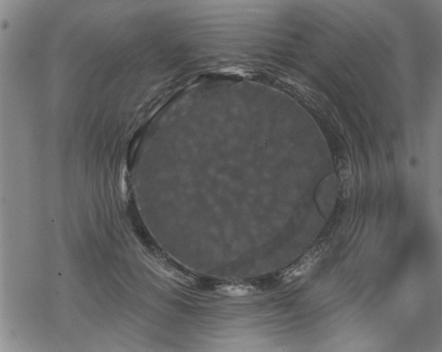 X0000069810654200605191047