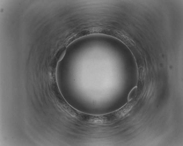 X0000069810655200605191047