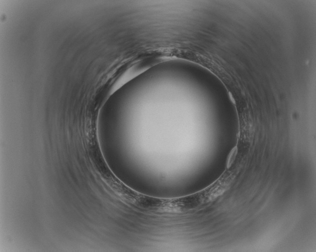 X0000069810656200605191047