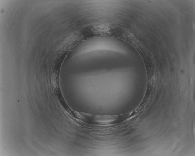 X0000069810658200605191047