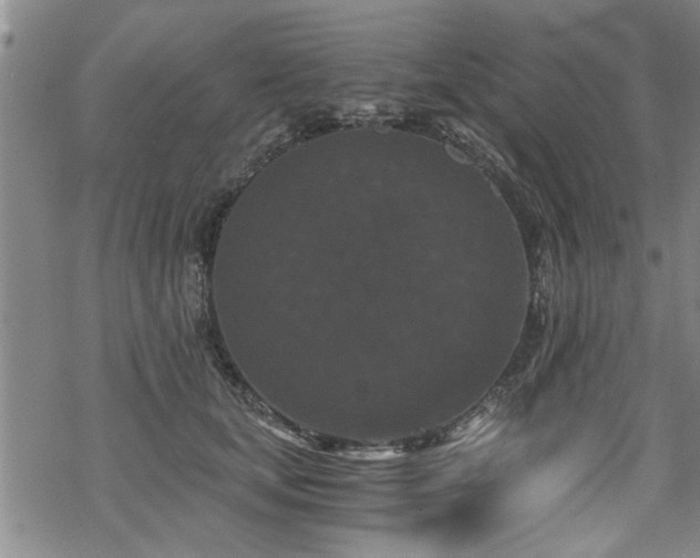 X0000069810659200605191047